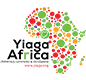 Yiaga Africa logo